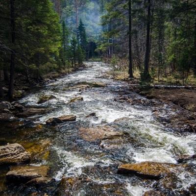 kaiyun官方网app下载app